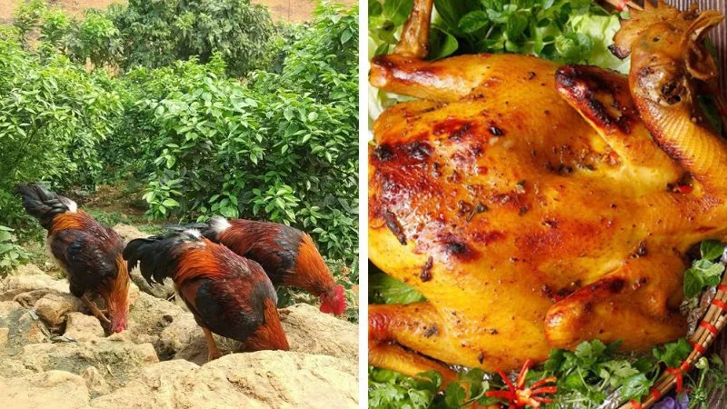 Wyndham Thanh Thủy địa chỉ: Vị trí, điểm nổi bật, giá vé & đơn vị uy tín