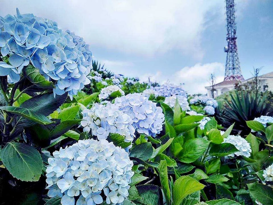 ha-noi-dalat-nha-trang-6