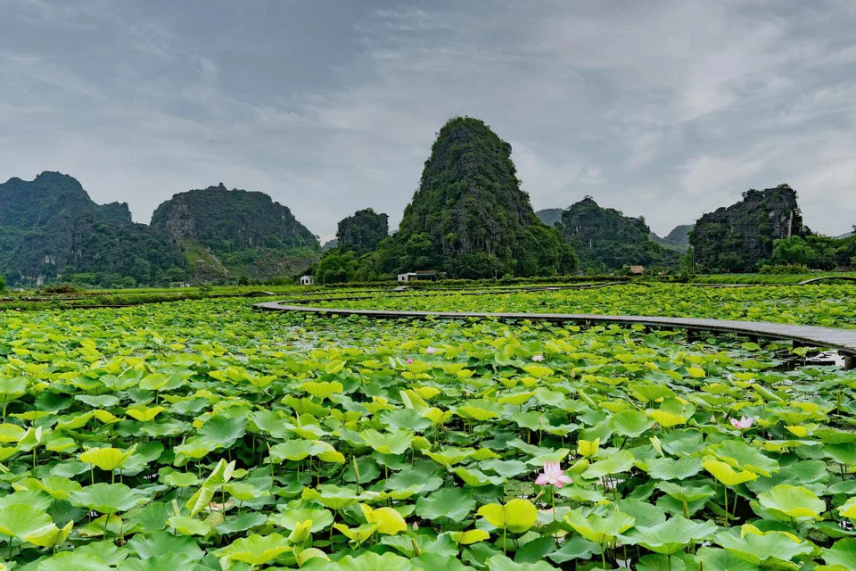 Tam Cốc Bích Động: Vị trí, điểm thu hút, kinh nghiệm du lịch và chọn tour