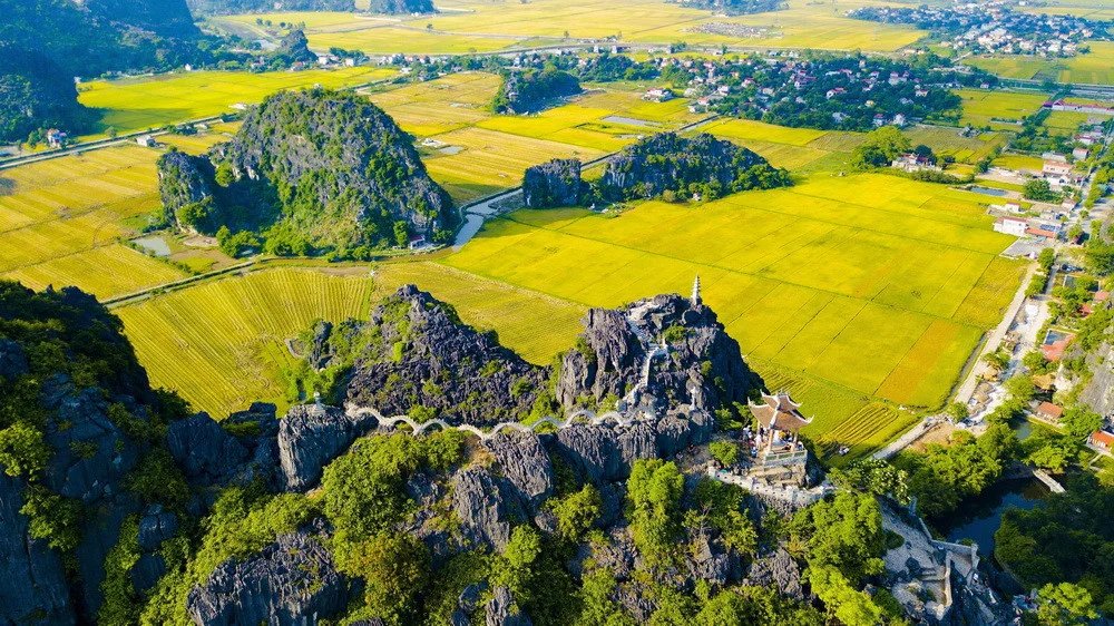Hang Múa mùa lúa chín: Tuyệt tác vàng son cố đô & bí kíp chinh phục cùng Phê Travel