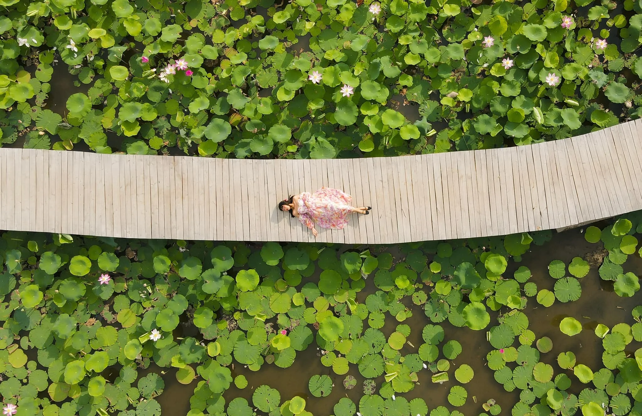 Hang múa mùa sen 