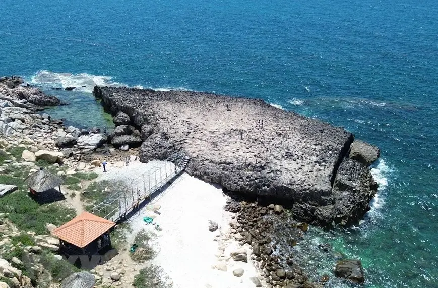 Kinh nghiệm đi Đồi cừu Vĩnh Hy: Giá vé, đường đi & 1001 góc check-in "triệu like"