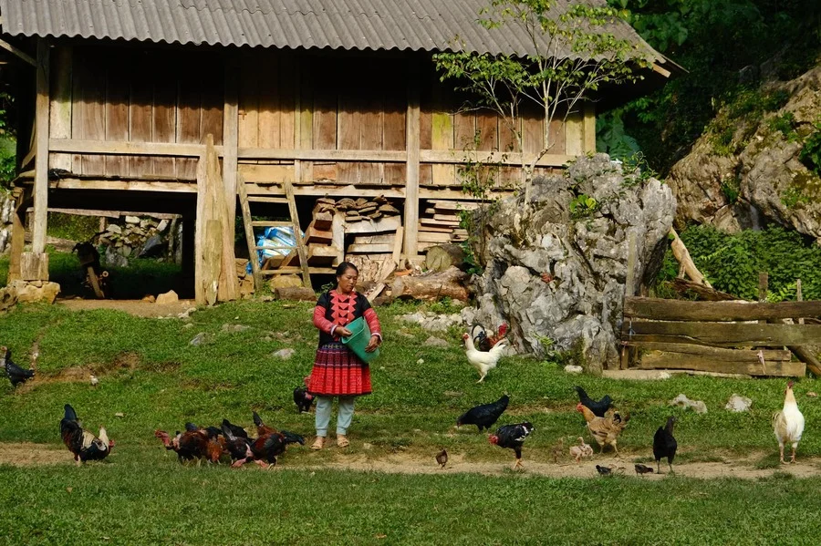 Hang Táu: Vị trí, điểm thu hút, kinh nghiệm du lịch và chọn tour