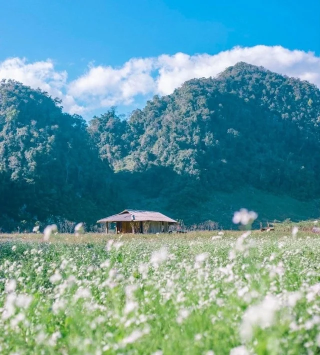 Hang Táu: Vị trí, điểm thu hút, kinh nghiệm du lịch và chọn tour