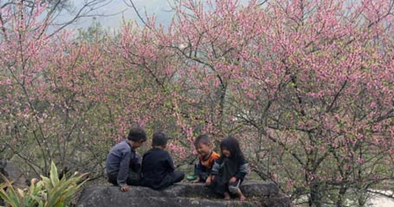 Tour 5 ngày 4 đêm Hà Giang – Cao nguyên đá – sapa – Fansipan khởi hành thứ 6: Lịch trình, điểm nổi bật, giá bán, kinh nghiệm du lịch & đơn vị uy tín giá rẻ