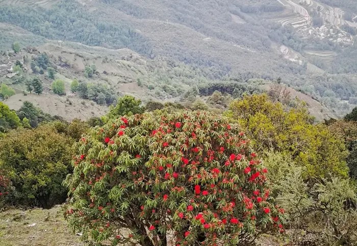 Núi tuyết Kiệu Tử – Kỳ quan tuyết trắng mới của Trung Quốc 5 Núi tuyết Kiệu Tử – Kỳ quan tuyết trắng mới của Trung Quốc
