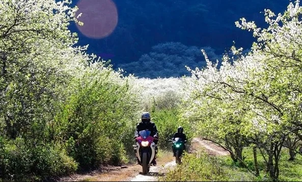 Hang Táu: Vị trí, điểm thu hút, kinh nghiệm du lịch và chọn tour