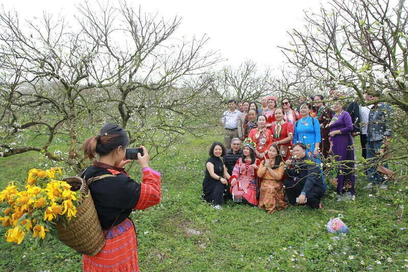 Mộc Châu mùa hoa mận: Vị trí, điểm thu hút, kinh nghiệm du lịch và chọn tour