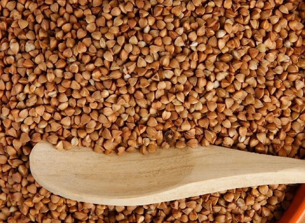 Hoa tam giác mạch Hà Giang: Mùa đẹp nhất, các điểm check in, kinh nghiệm chụp ảnh và lựa chọn tour