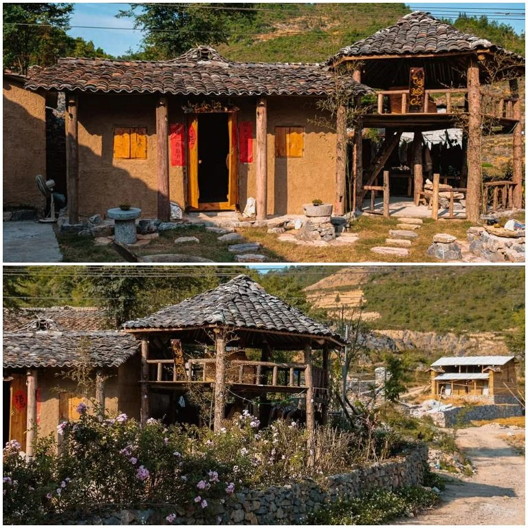 Hoa tam giác mạch Hà Giang: Mùa đẹp nhất, các điểm check in, kinh nghiệm chụp ảnh và lựa chọn tour