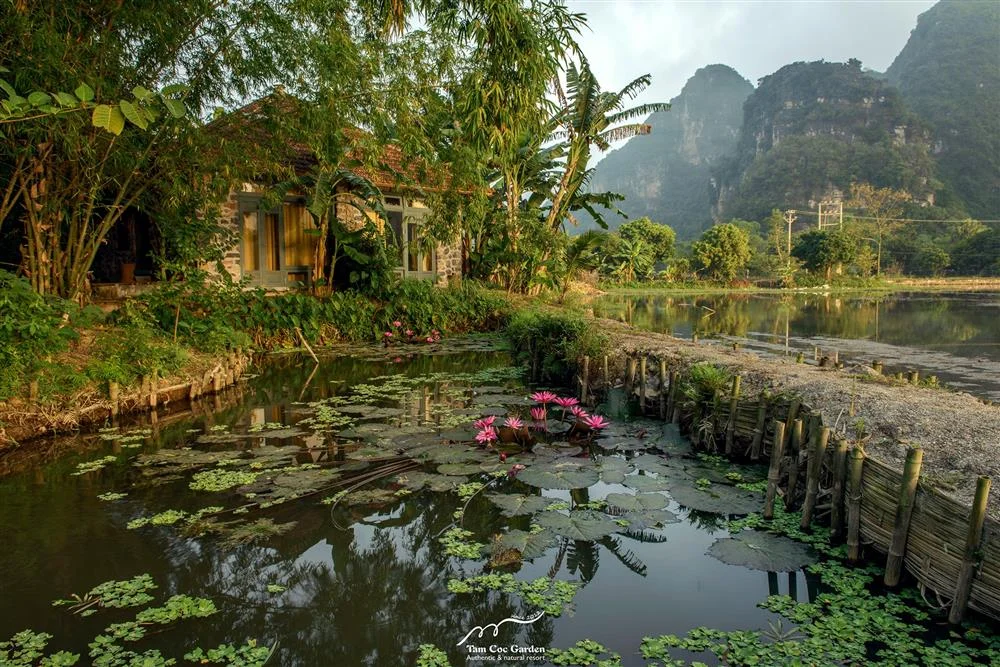 Tam Cốc Garden - Ninh Bình: Giá phòng, các loại hình lưu trú, ẩm thực, dịch vụ và tiện ích nổi bật