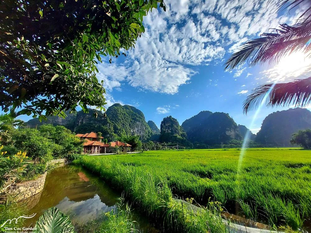 Tam Cốc Garden - Ninh Bình