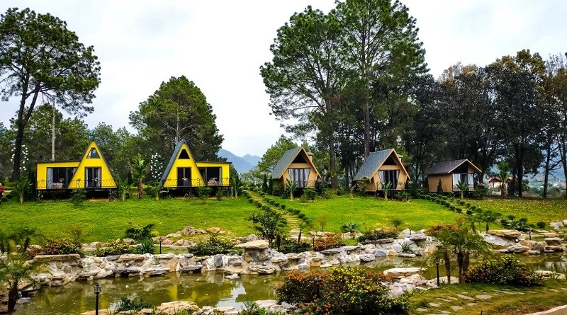 Rừng thông bản Áng: Mùa đẹp nhất, các điểm check in, kinh nghiệm chụp ảnh và lựa chọn tour