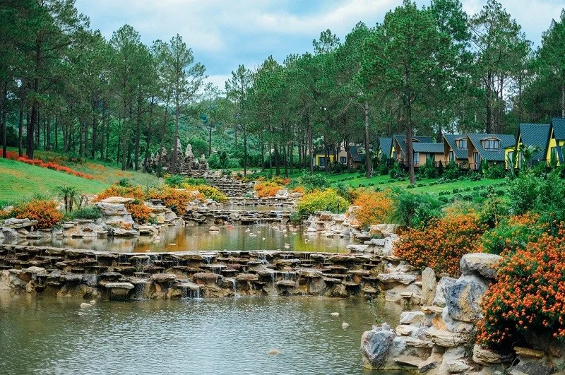 kham-pha-rung-thong-bang-ang