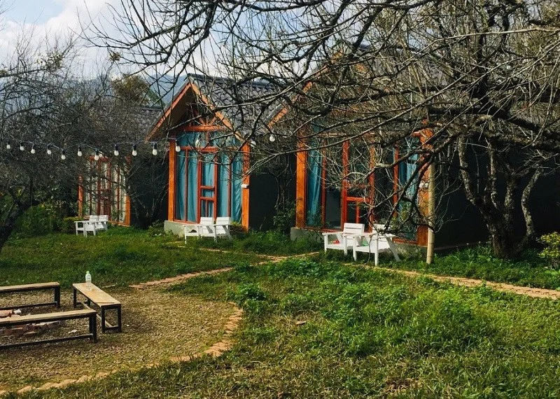 Rừng thông bản Áng: Mùa đẹp nhất, các điểm check in, kinh nghiệm chụp ảnh và lựa chọn tour