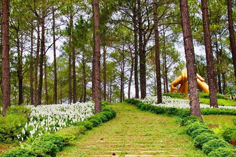 Hang Táu: Vị trí, điểm thu hút, kinh nghiệm du lịch và chọn tour