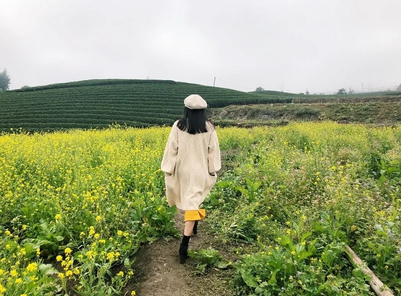 Kinh nghiệm du lịch Mộc Châu từ A-Z: Mặc gì, Ăn gì, Chơi gì, Ở đâu và Lưu ý sống còn