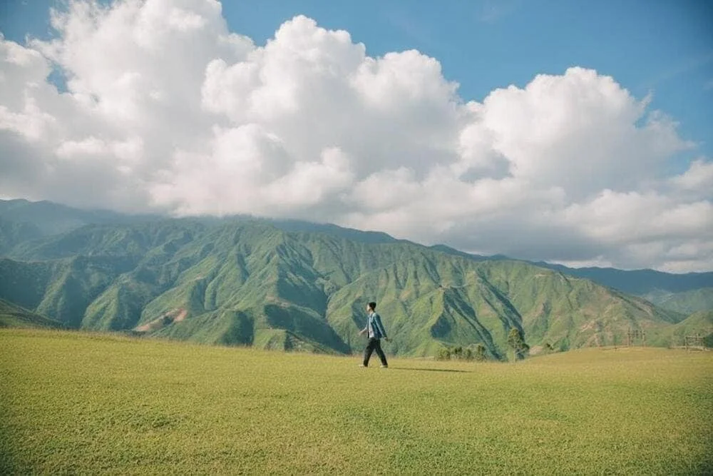 Mỏm cá Heo Tà Xùa: Vị trí, điểm nổi bật, kinh nghiệm du lịch & công ty uy tín