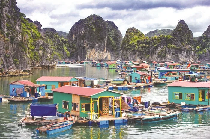 Làng chài Cửa Vạn: Trải nghiệm độc đáo cho cả gia đình