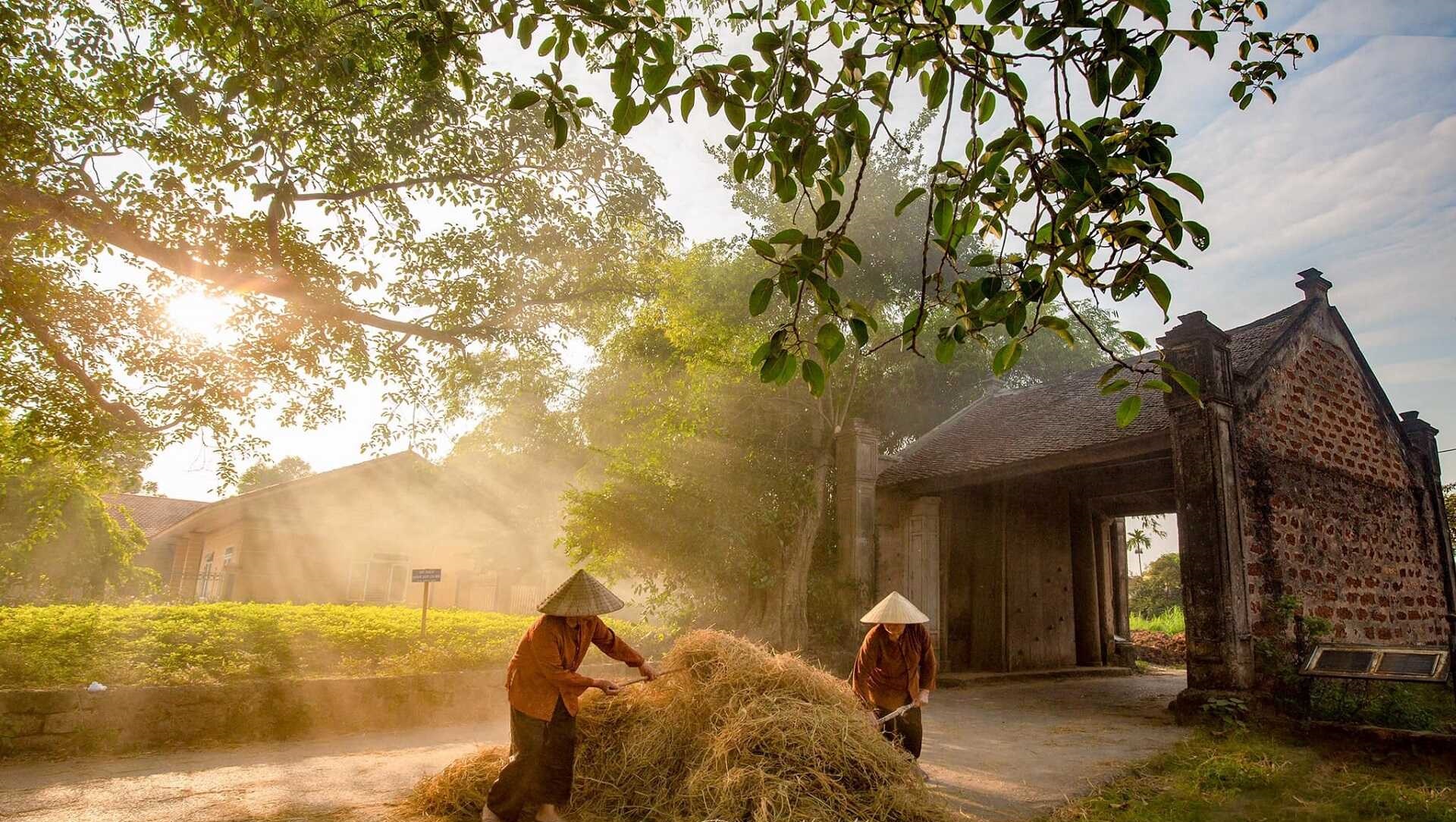 Làng cổ Đường Lâm: Vị trí, kiến trúc, kinh nghiệm tham quan & đơn vị uy tín