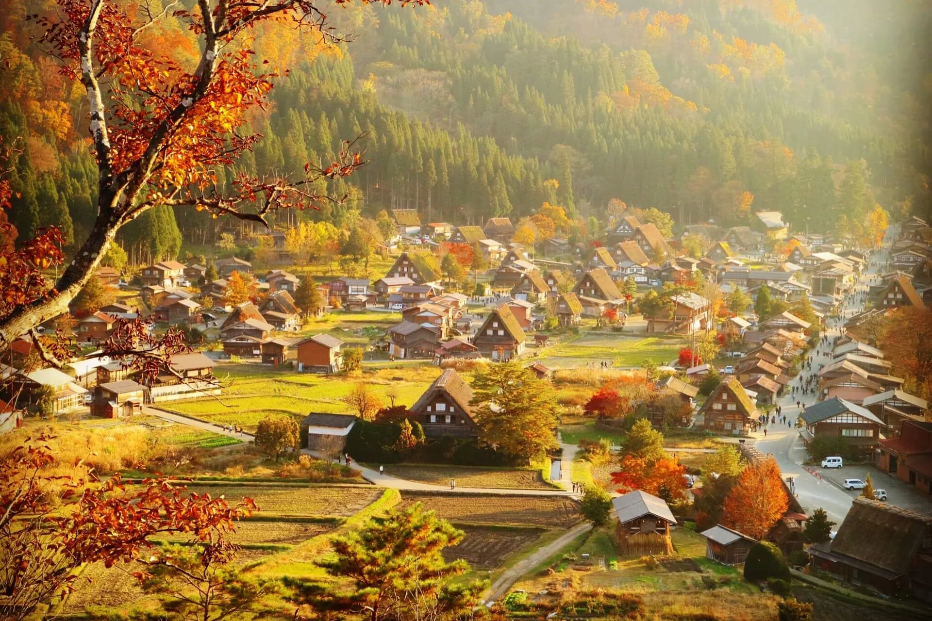 thoi-diem-du-lich-dep-nhat-tai-shirakawago
