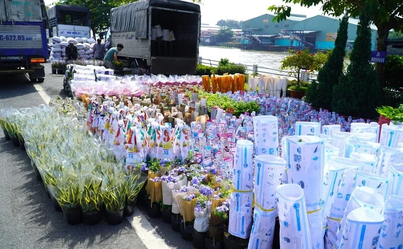 Làng hoa Sa Đéc: Vị trí, điểm thu hút, kinh nghiệm du lịch và chọn tour