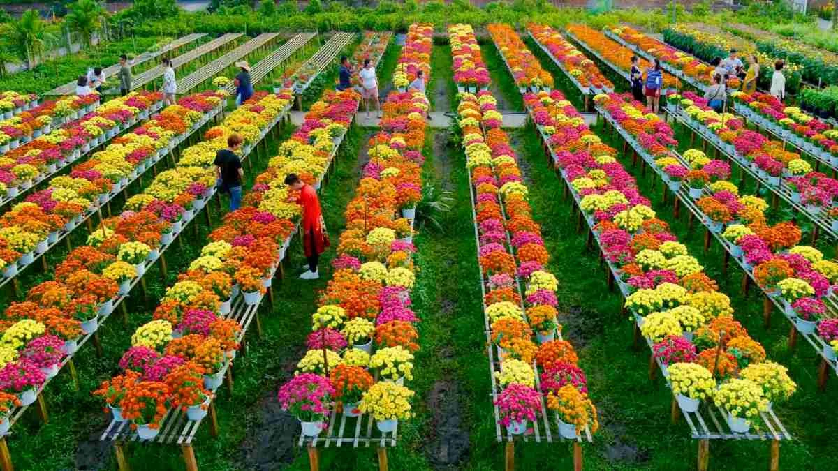 Tết đi đâu chơi ở Miền Nam: Tổng hợp điểm đến, Kinh nghiệm du lịch, Tour Tết hot & Gợi ý đơn vị uy tín