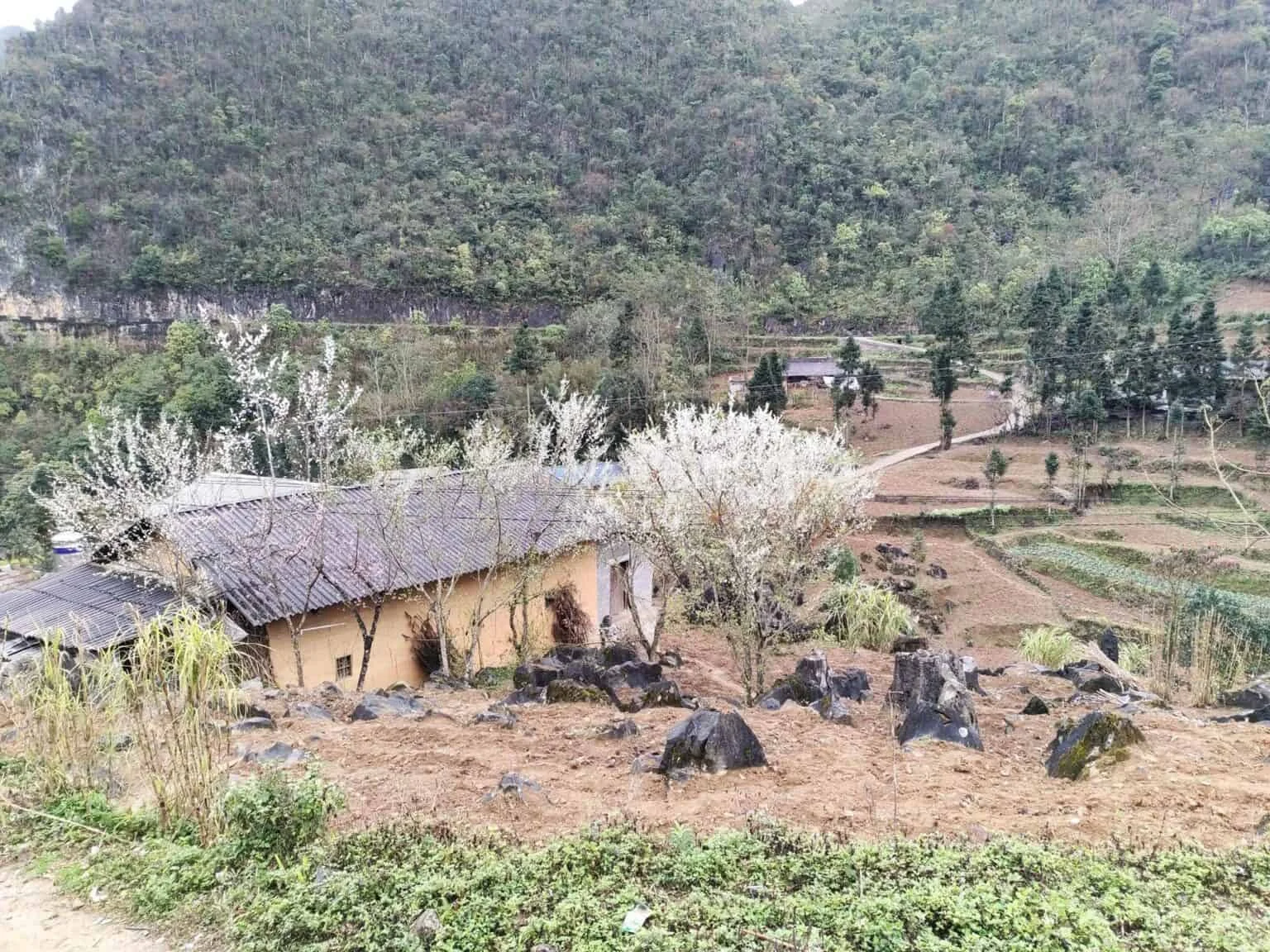 lang-van-hoa-lung-cam