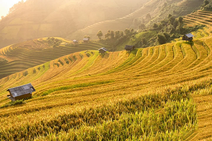 cach-chon-lich-trinh-phu-hop-voi-tung-doi-tuong