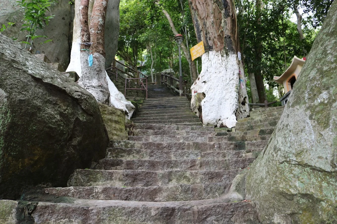Chùa Hang: Vị trí, điểm thu hút, kinh nghiệm du lịch và chọn tour