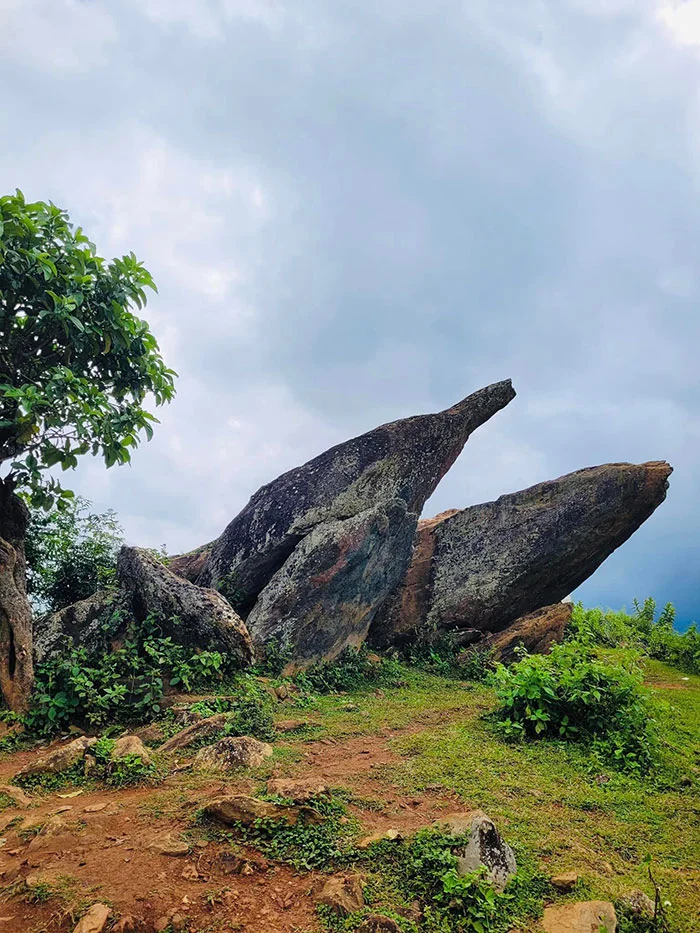 Mỏm cá Heo Tà Xùa: Vị trí, điểm nổi bật, kinh nghiệm du lịch & công ty uy tín