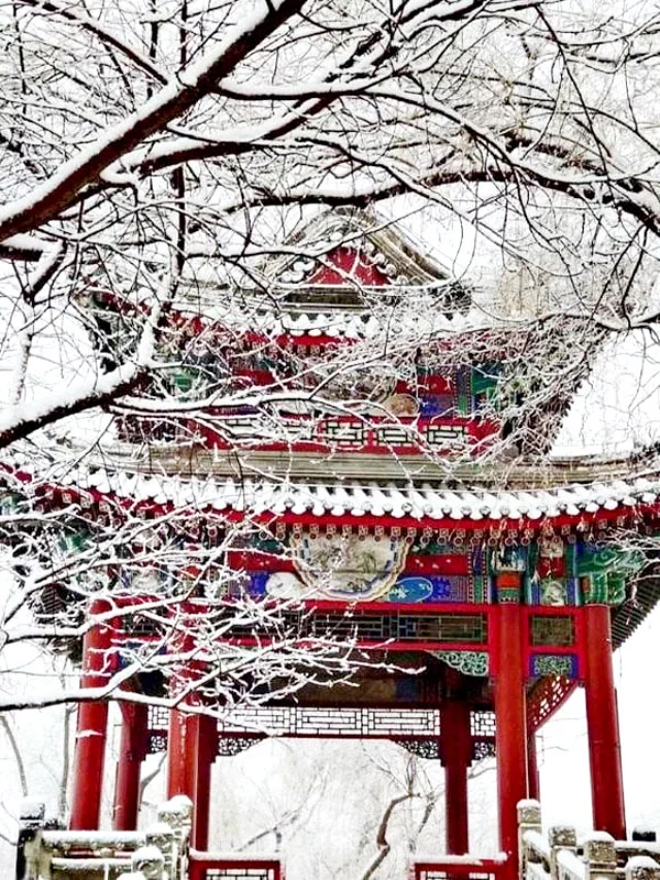 Tử Cấm Thành: Vị trí, điểm thu hút, kinh nghiệm du lịch và chọn tour