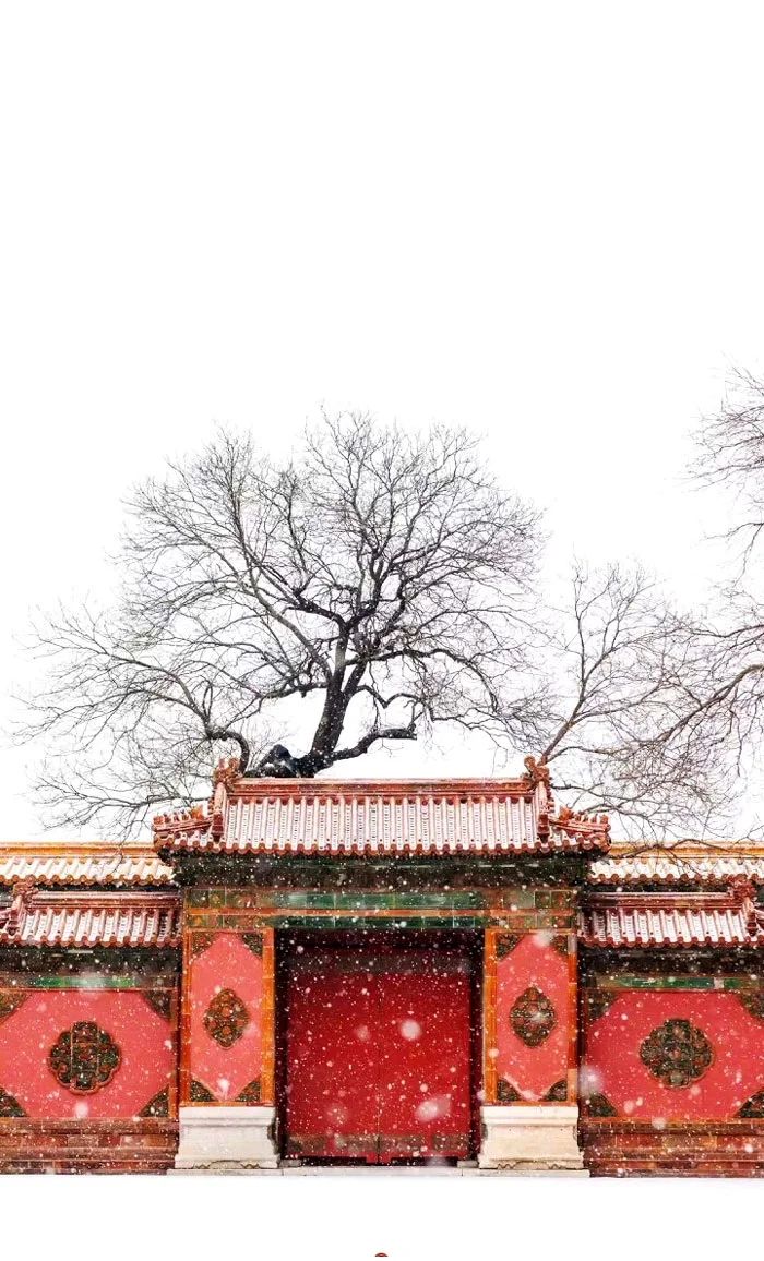 Tử Cấm Thành: Vị trí, điểm thu hút, kinh nghiệm du lịch và chọn tour