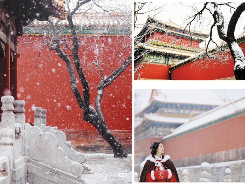 Tử Cấm Thành: Vị trí, điểm thu hút, kinh nghiệm du lịch và chọn tour