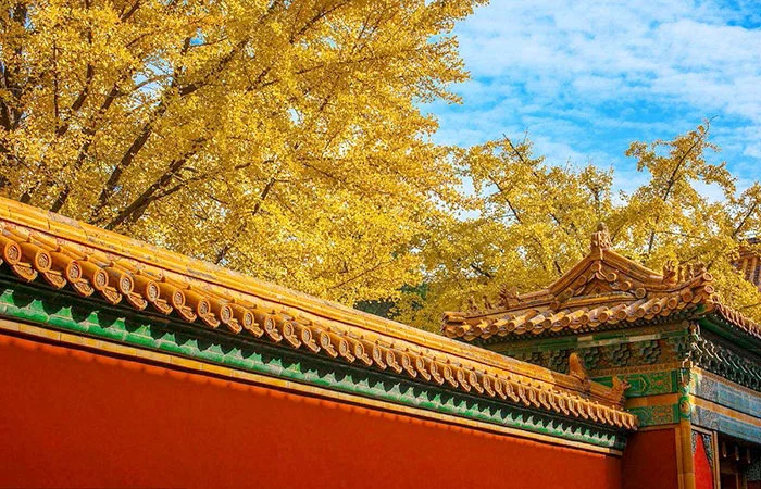 Tử Cấm Thành: Vị trí, điểm thu hút, kinh nghiệm du lịch và chọn tour