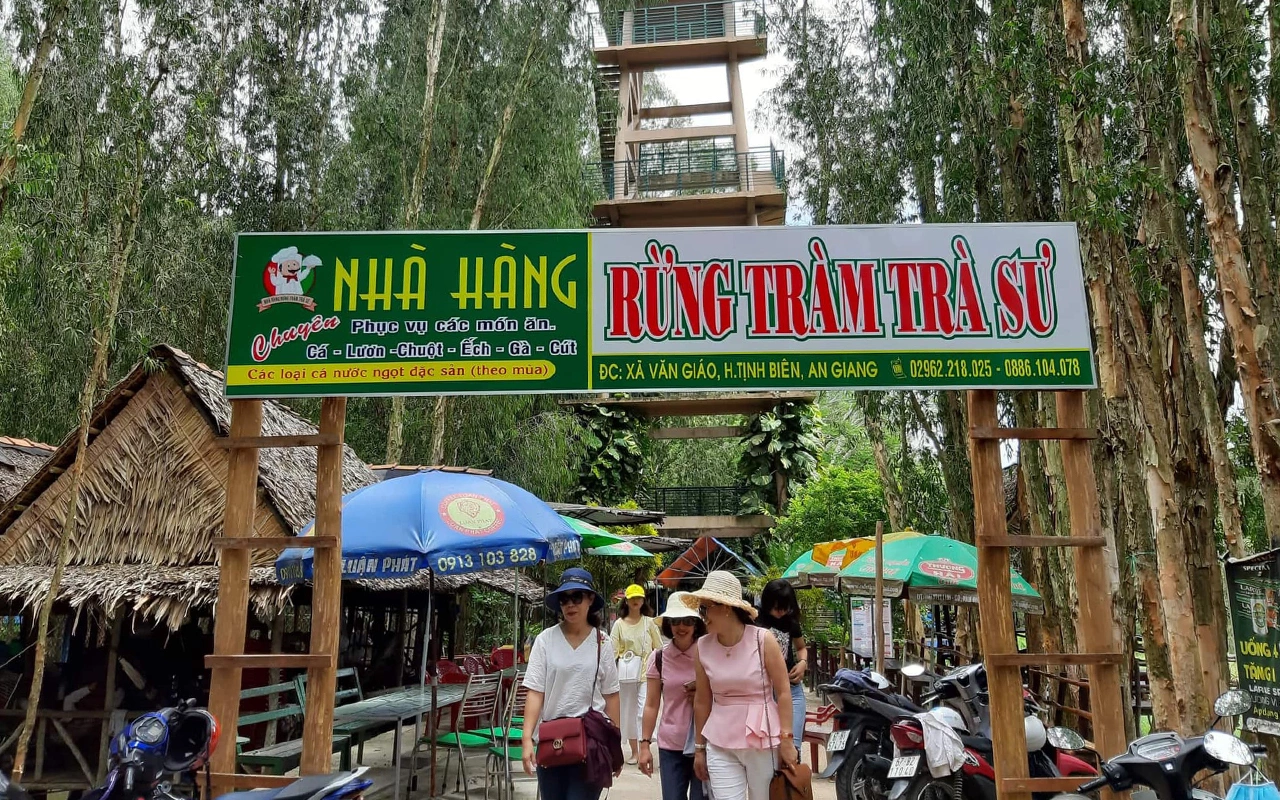 Cẩm nang du lịch rừng tràm Trà Sư 2026: Vị trí, điểm nổi bật, kinh nghiệm đi & đơn vị uy tín