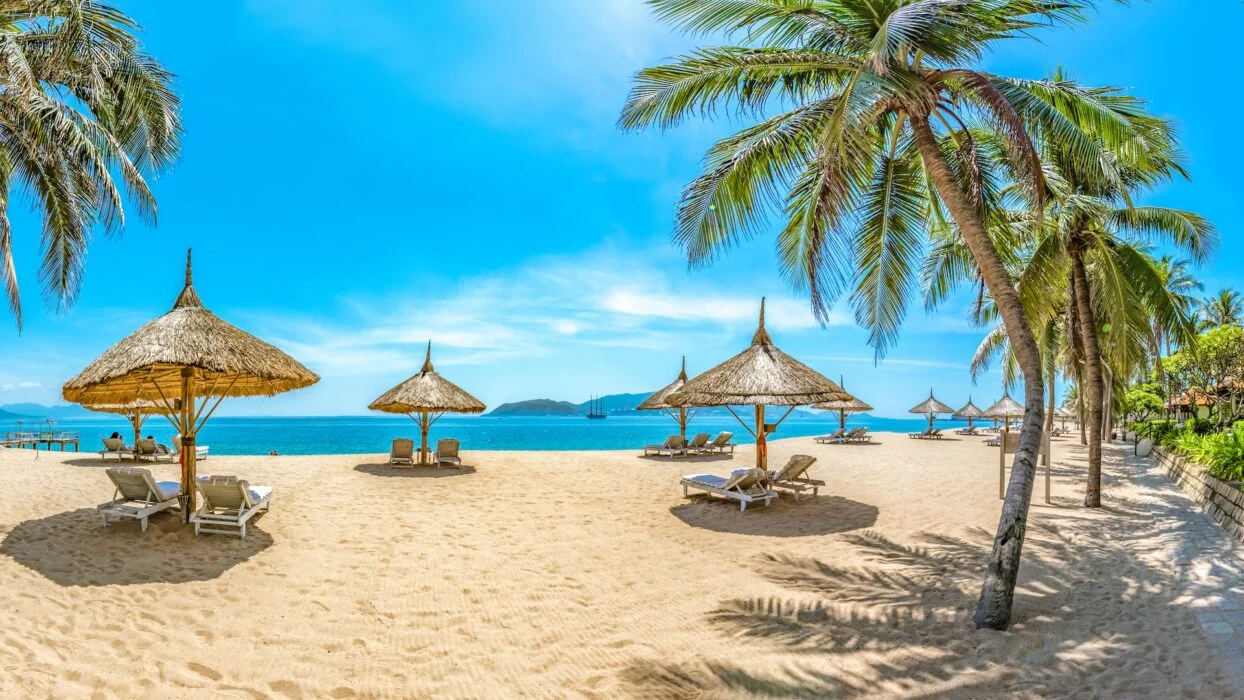 nha-trang-beach-with-huts-and-cononut-trees-1244x700