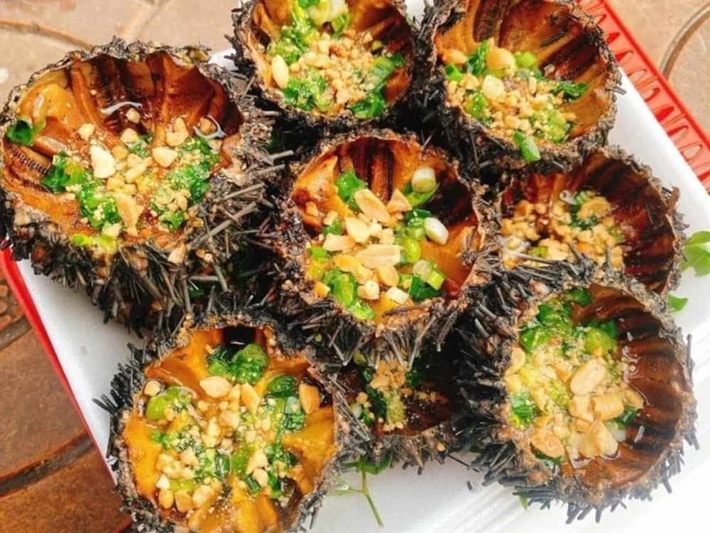 Bình Hưng Nha Trang: Vị trí, điểm nổi bật, kinh nghiệm du lịch & đơn vị uy tín