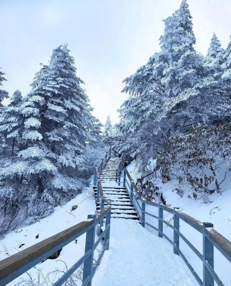 Núi tuyết Kiệu Tử – Kỳ quan tuyết trắng mới của Trung Quốc