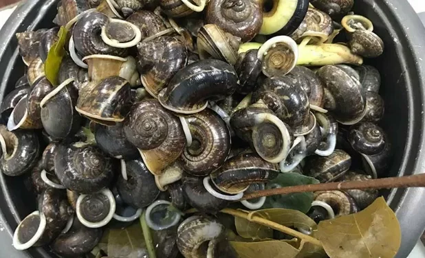 Kinh nghiệm du lịch Tràng An: Kinh nghiệm, giá vé và lịch trình chi tiết