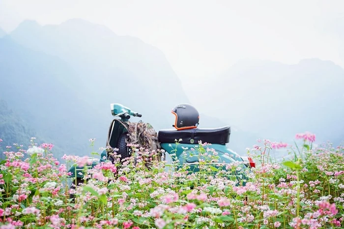 Dốc Thẩm Mã: Đặc điểm, vị trí, điểm thu hút, kinh nghiệm du lịch và chọn tour