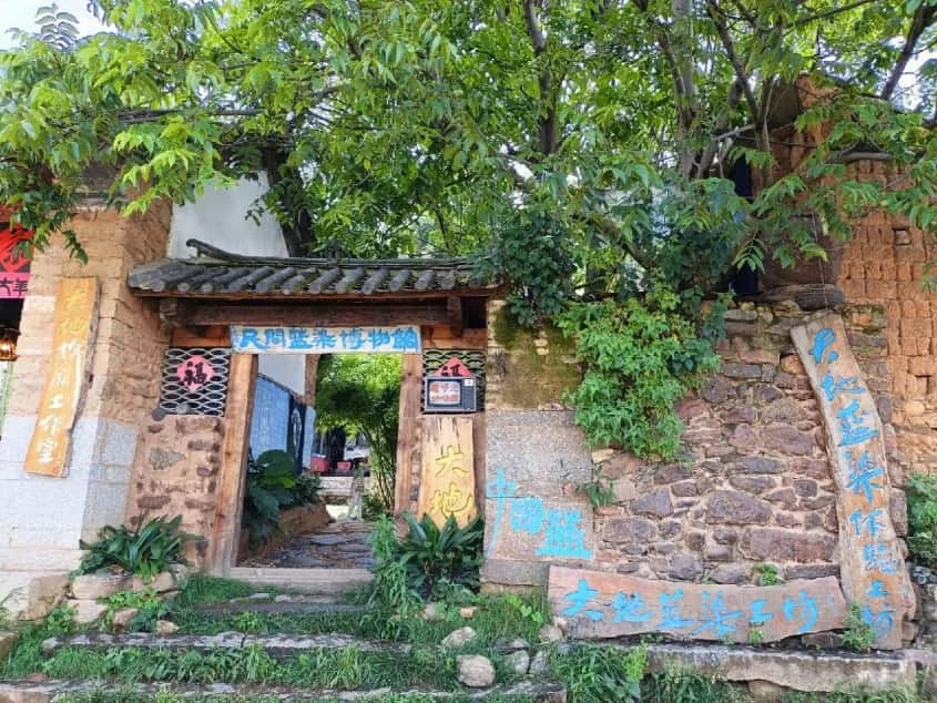 phuog-duong-d