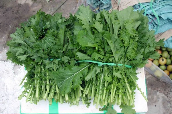 Review các món ngon Mộc Châu nhất định phải thử: Cẩm nang Food Tour từ A-Z