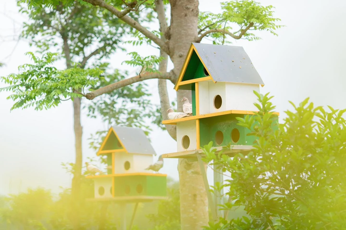 resort-gan-ha-noi-2