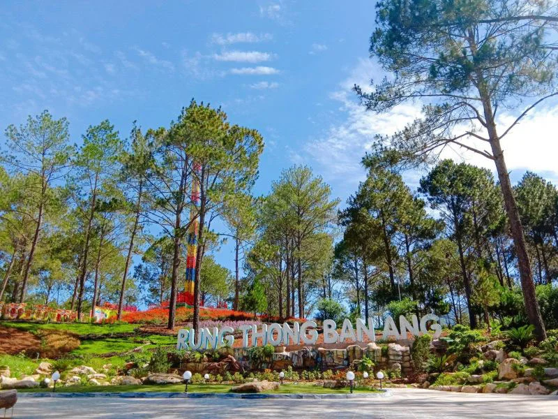 Kinh nghiệm du lịch Mộc Châu từ A-Z: Mặc gì, Ăn gì, Chơi gì, Ở đâu và Lưu ý sống còn