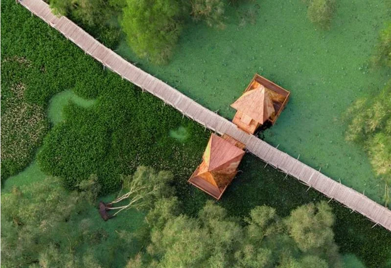 Cẩm nang du lịch rừng tràm Trà Sư 2026: Vị trí, điểm nổi bật, kinh nghiệm đi & đơn vị uy tín