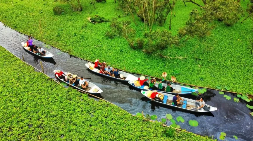 Cẩm nang du lịch rừng tràm Trà Sư 2026: Vị trí, điểm nổi bật, kinh nghiệm đi & đơn vị uy tín