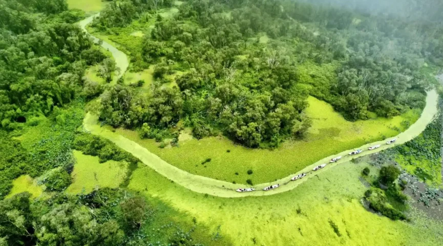 Cẩm nang du lịch rừng tràm Trà Sư 2026: Vị trí, điểm nổi bật, kinh nghiệm đi & đơn vị uy tín