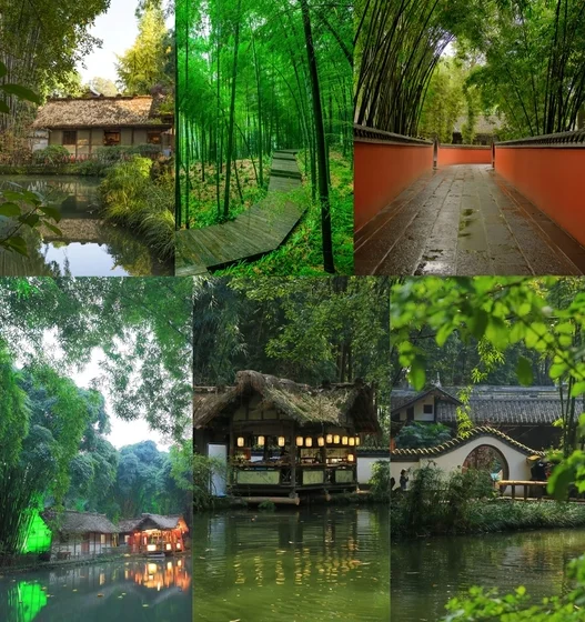 Công viên gấu trúc Thành Đô: Vị trí, điểm thu hút, kinh nghiệm du lịch và chọn tour