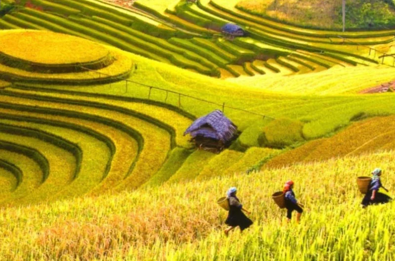 Dốc Thẩm Mã: Đặc điểm, vị trí, điểm thu hút, kinh nghiệm du lịch và chọn tour